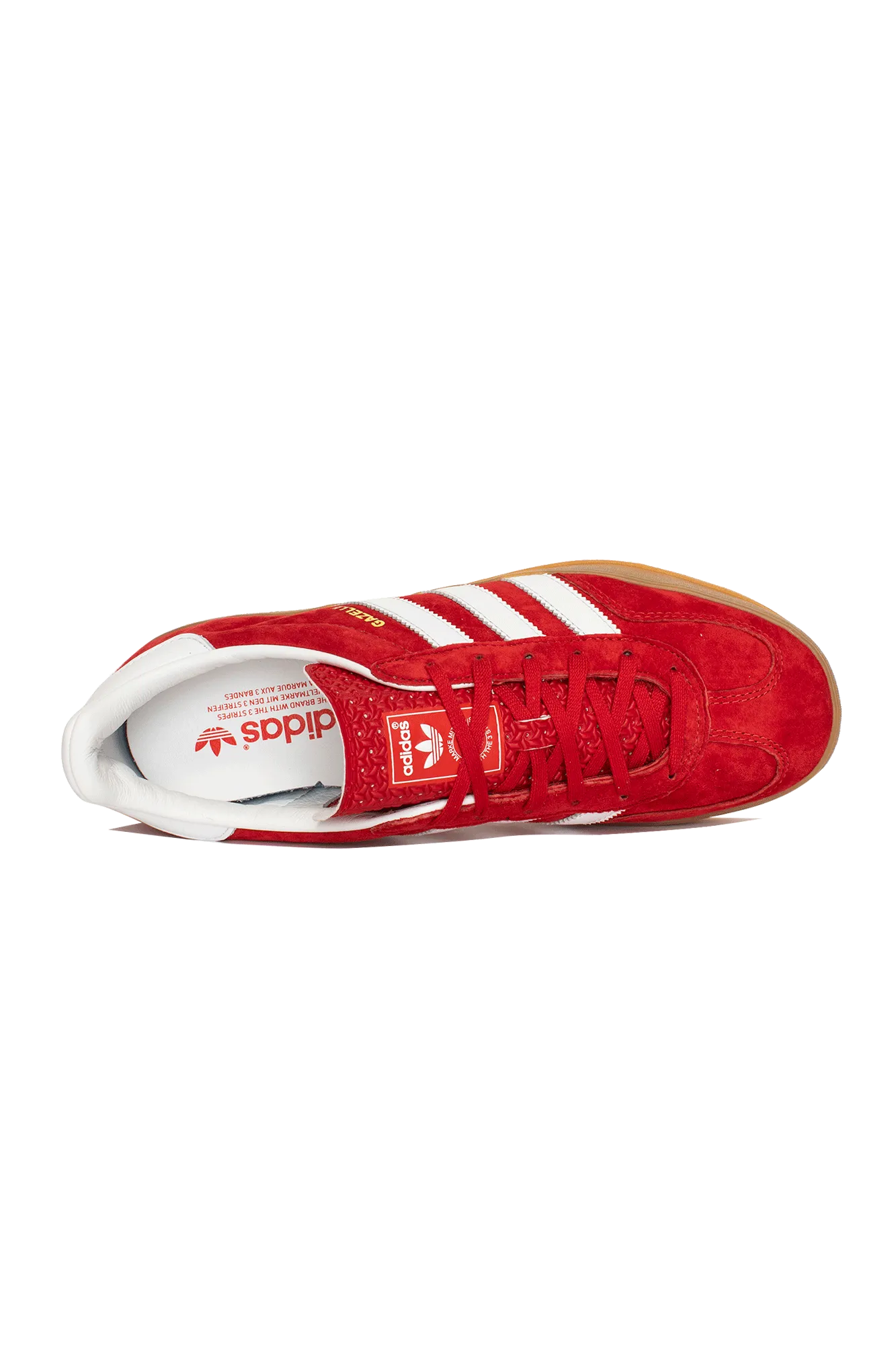 Gazelle Indoor