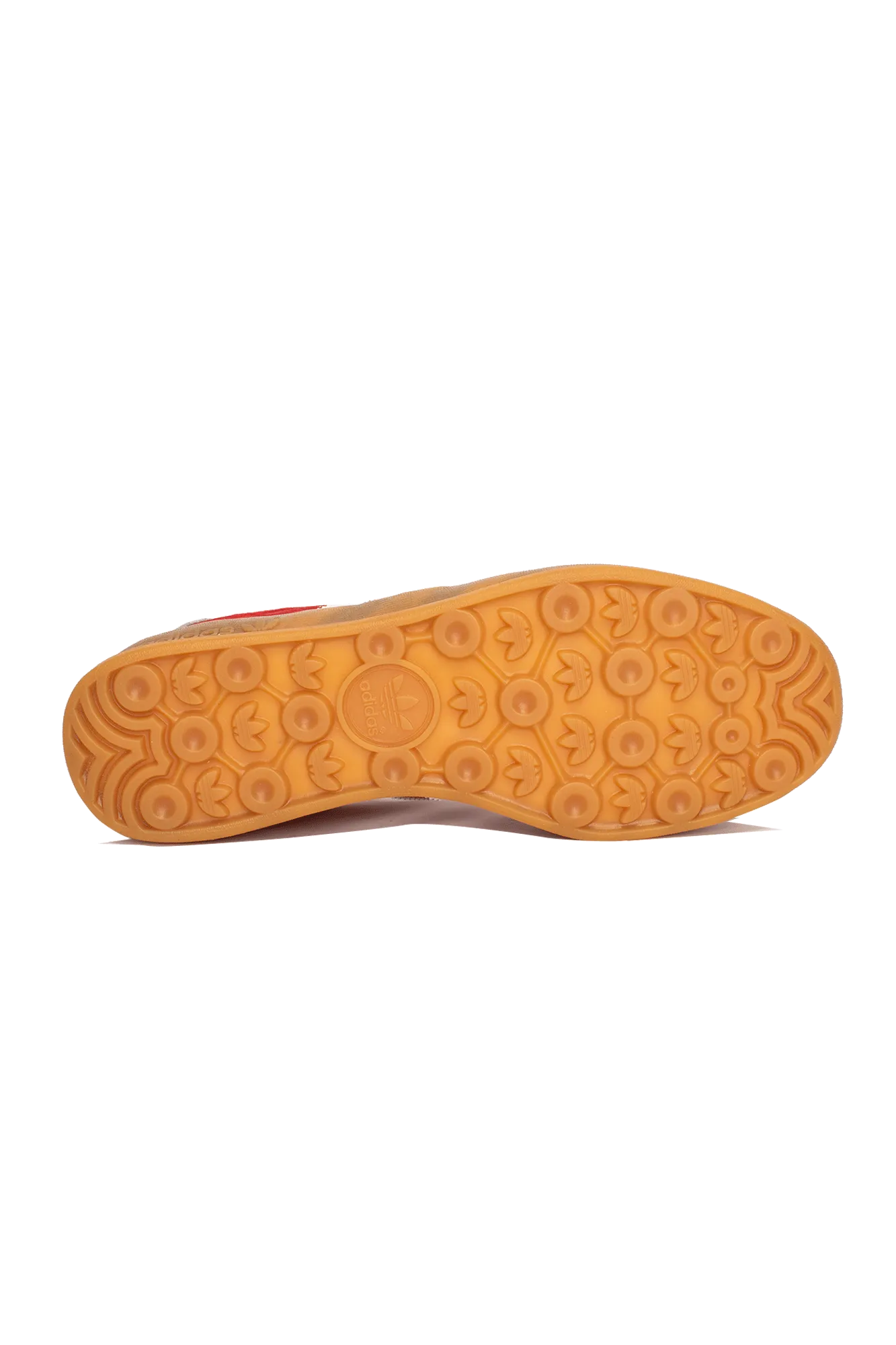 Gazelle Indoor