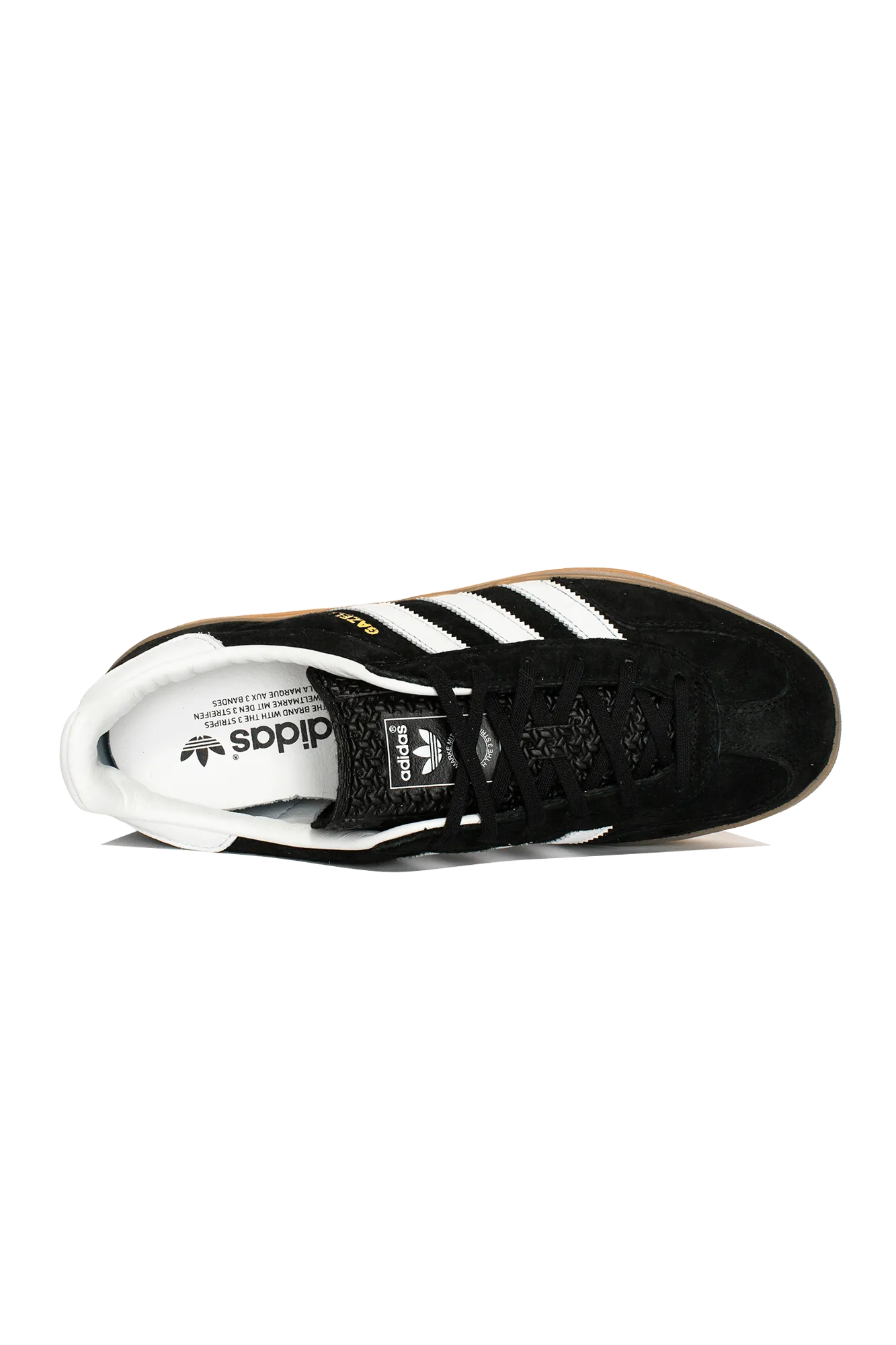 Gazelle Indoor