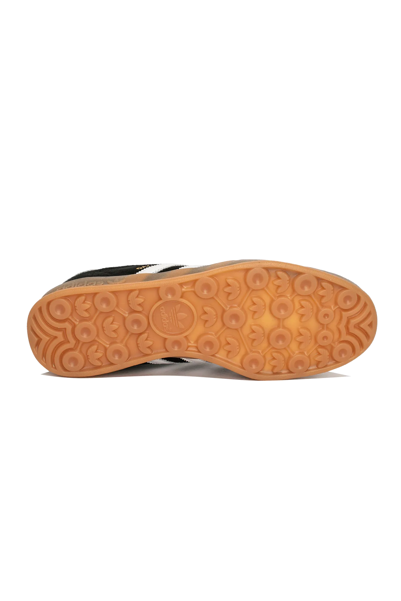 Gazelle Indoor