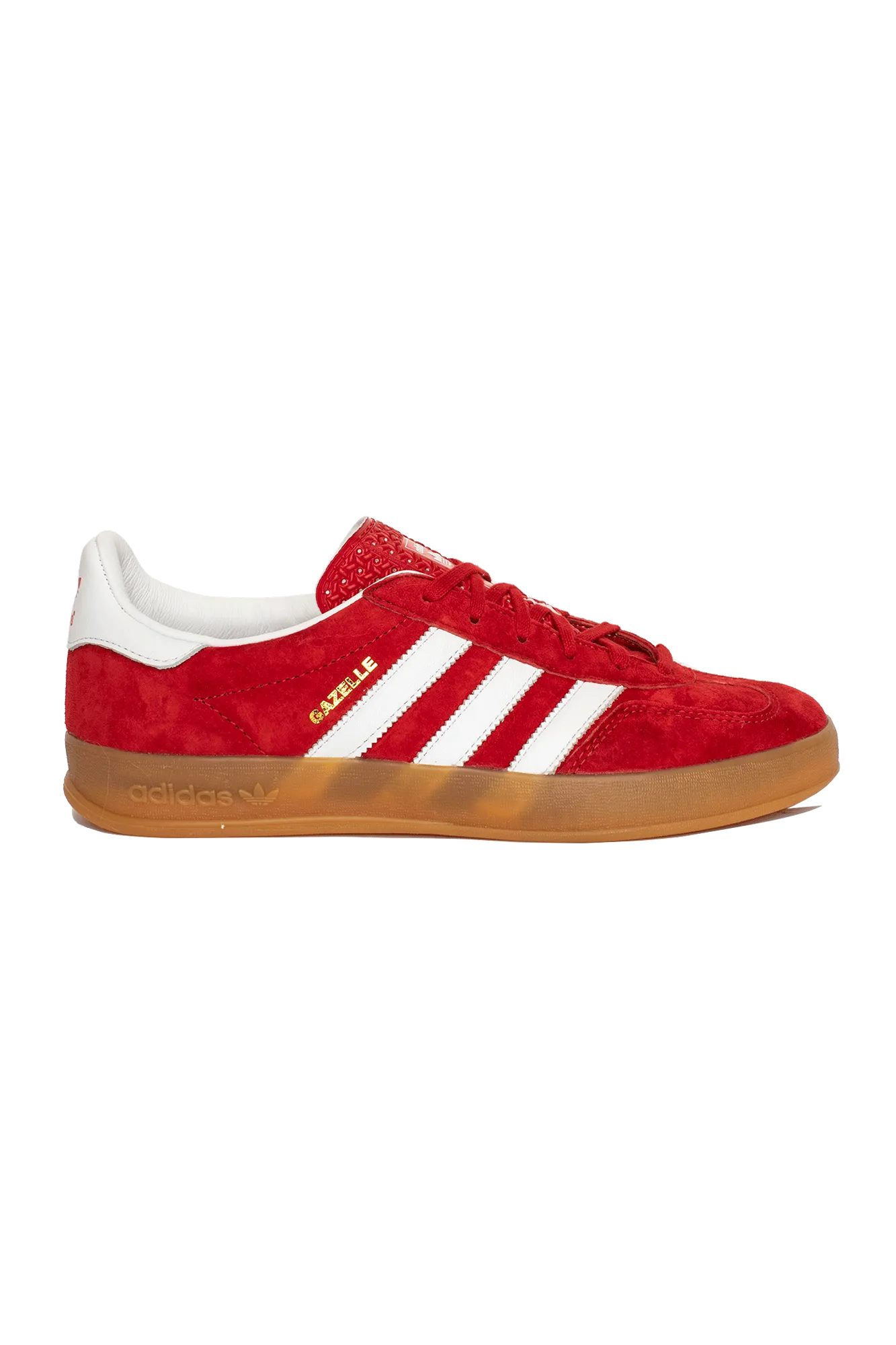 Gazelle Indoor