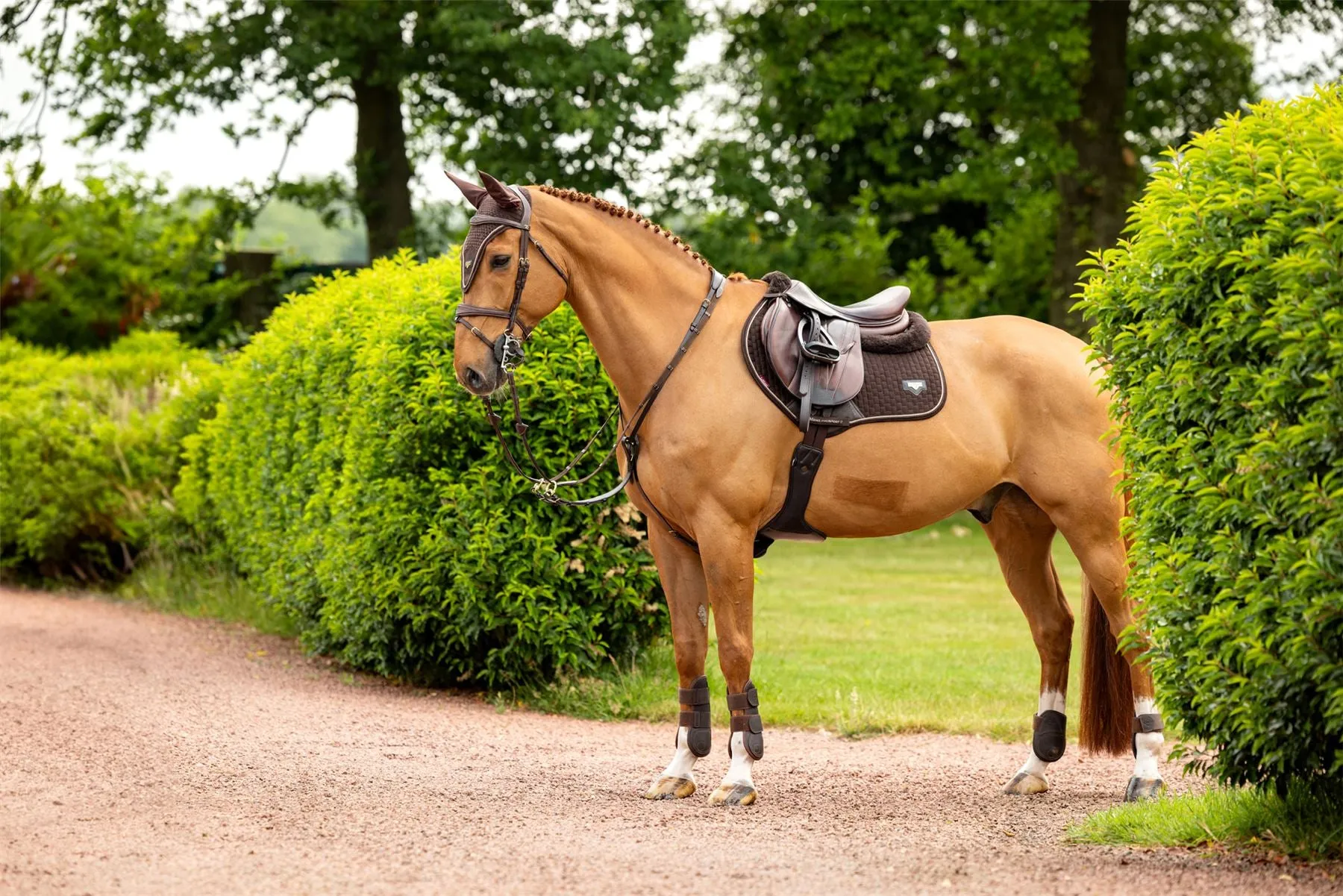 LeMieux Puissance Suede CC Pad